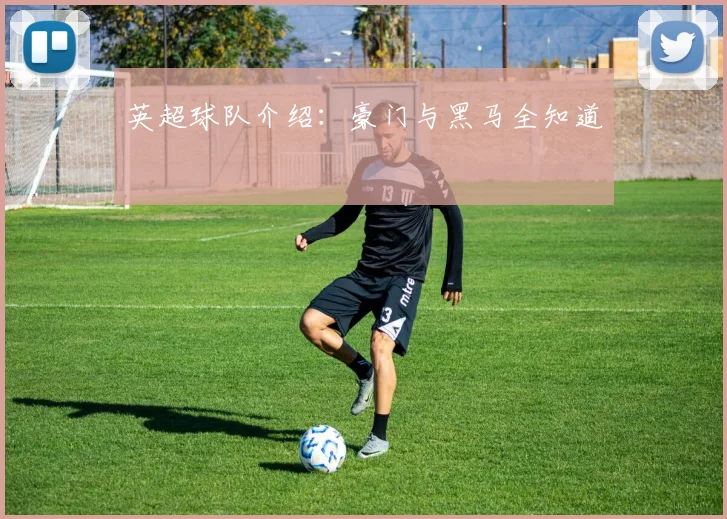 英超球队介绍：豪门与黑马全知道