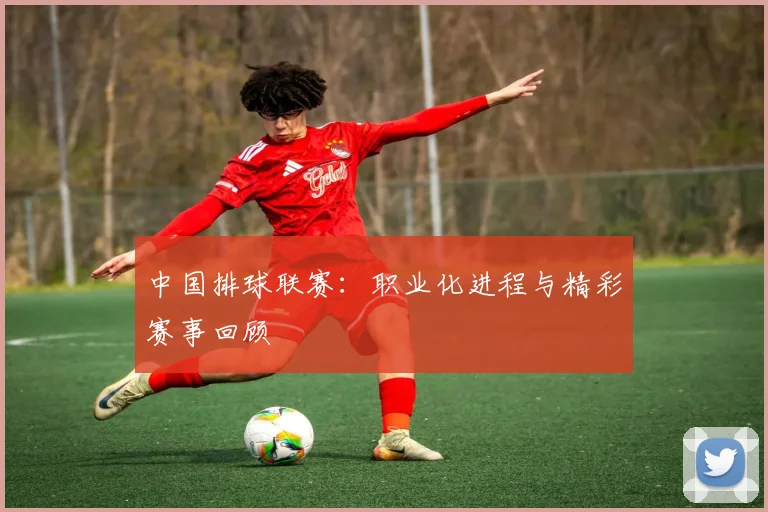 中国排球联赛:职业化进程与精彩赛事回顾