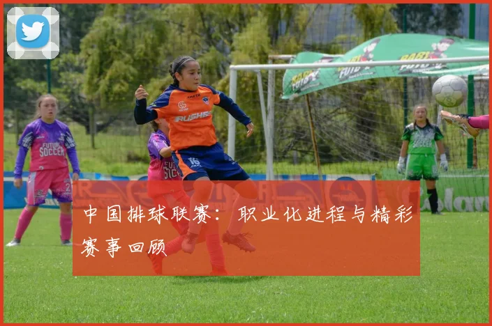 中国排球联赛：职业化进程与精彩赛事回顾